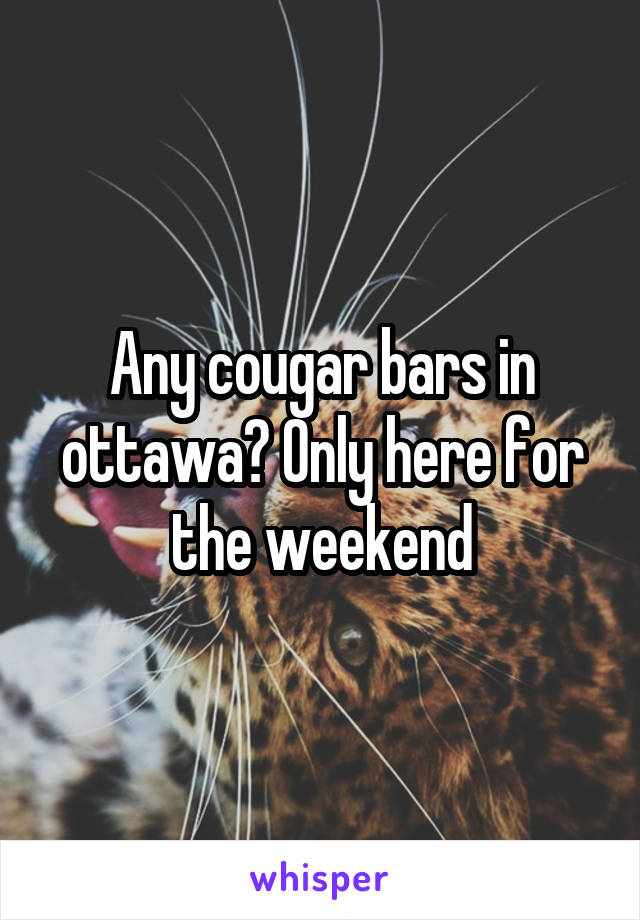 Any cougar bars in ottawa? Only here for the weekend