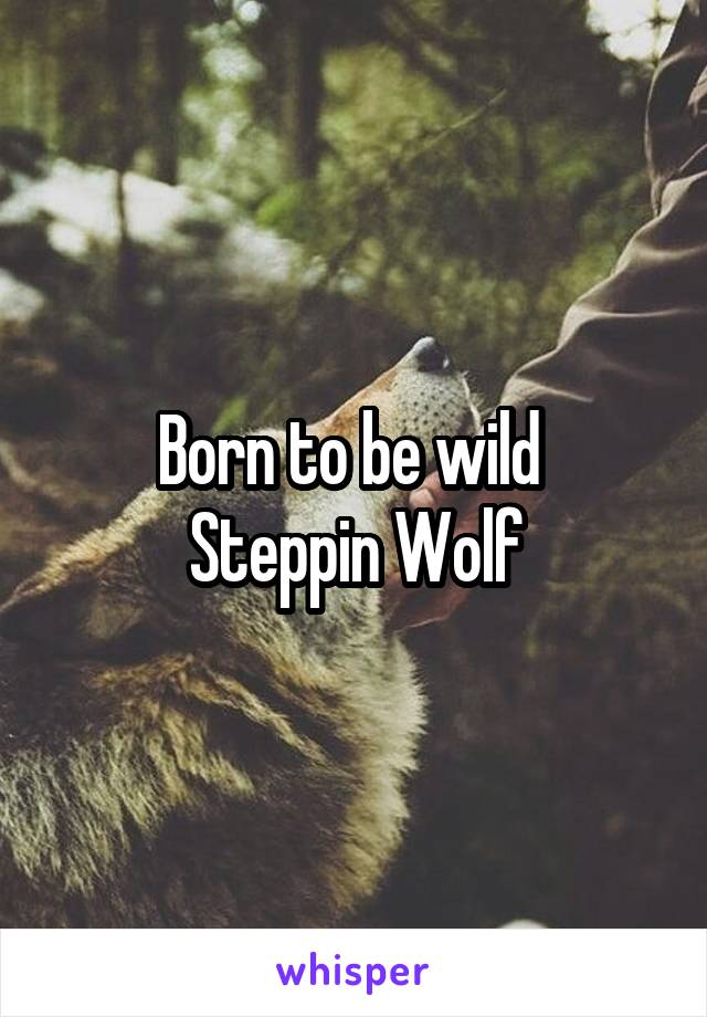 Born to be wild 
Steppin Wolf