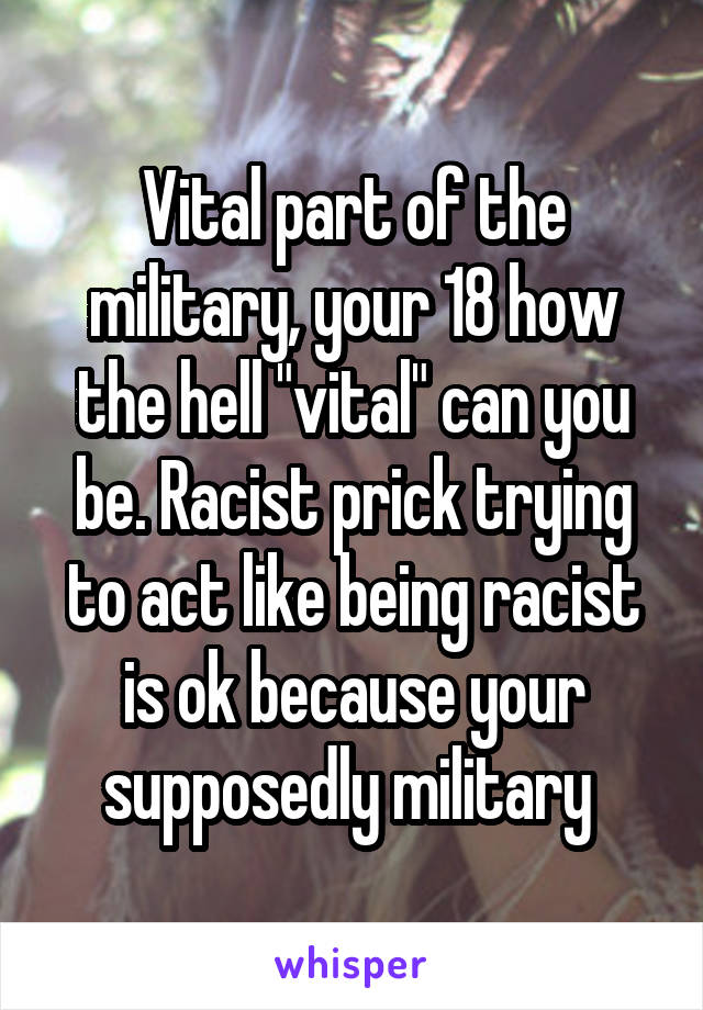 Vital part of the military, your 18 how the hell "vital" can you be. Racist prick trying to act like being racist is ok because your supposedly military 