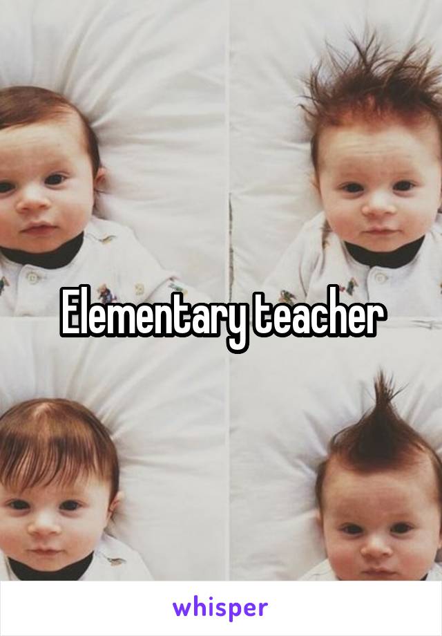 Elementary teacher