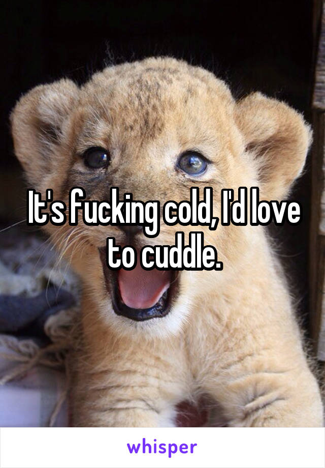 It's fucking cold, I'd love to cuddle.