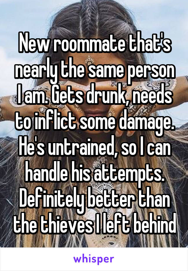 New roommate that's nearly the same person I am. Gets drunk, needs to inflict some damage. He's untrained, so I can handle his attempts. Definitely better than the thieves I left behind