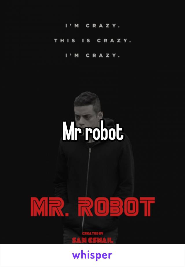 Mr robot