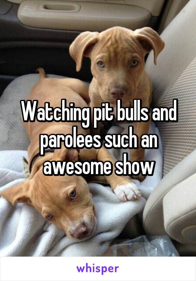 Watching pit bulls and parolees such an awesome show