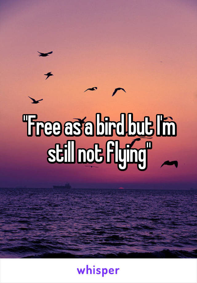 "Free as a bird but I'm still not flying"