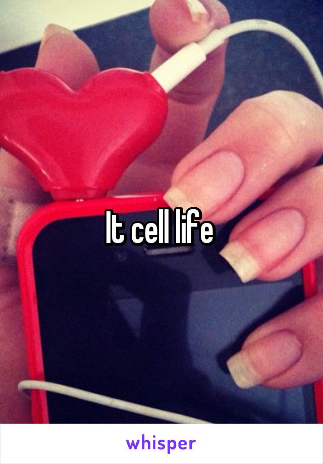 It cell life 