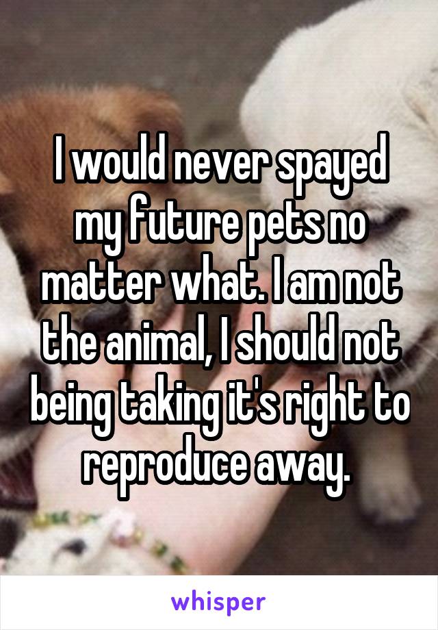 I would never spayed my future pets no matter what. I am not the animal, I should not being taking it's right to reproduce away. 