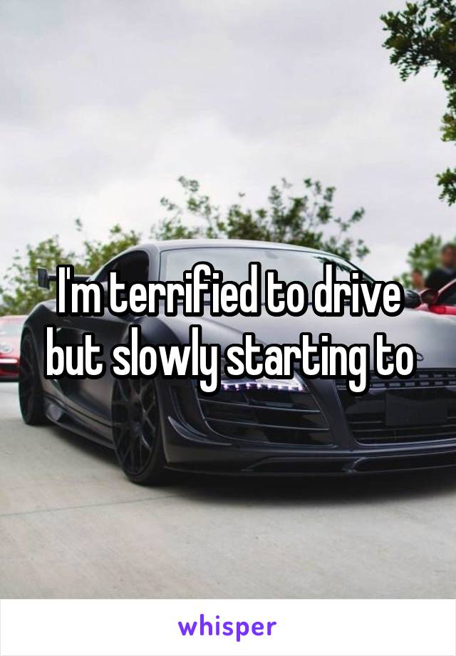 I'm terrified to drive but slowly starting to