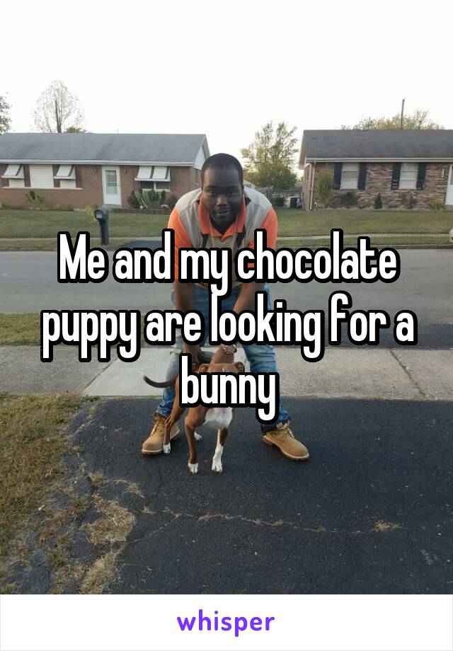 Me and my chocolate puppy are looking for a bunny