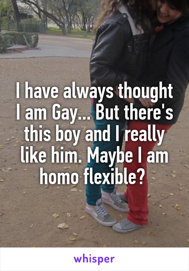 I have always thought I am Gay... But there's this boy and I really like him. Maybe I am homo flexible? 