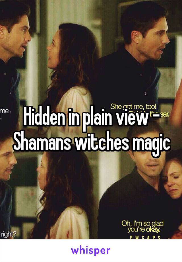 Hidden in plain view - Shamans witches magic