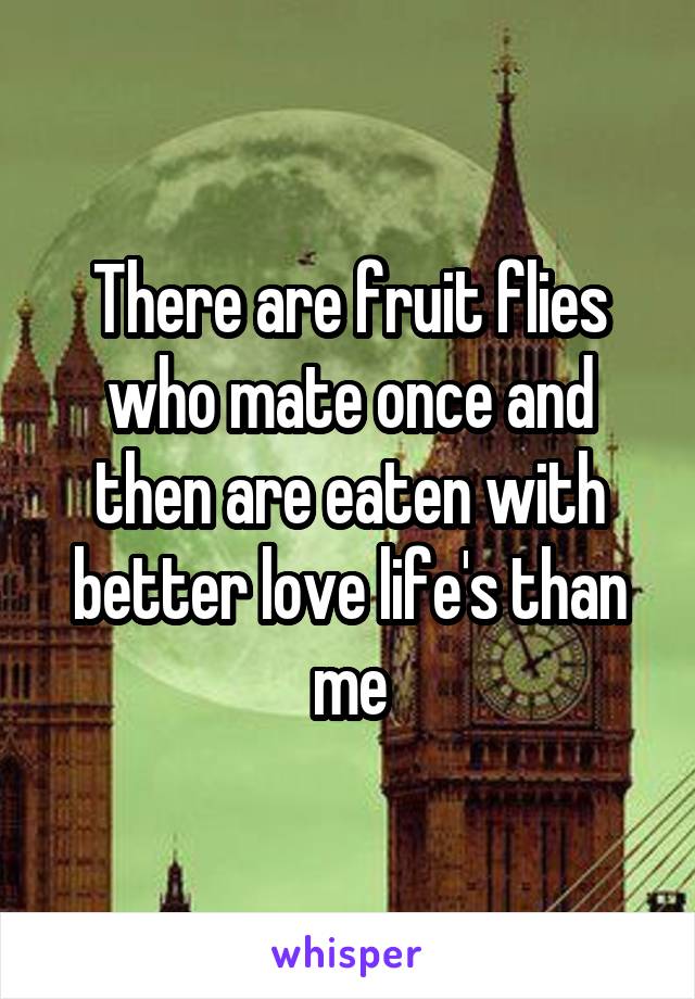 There are fruit flies who mate once and then are eaten with better love life's than me