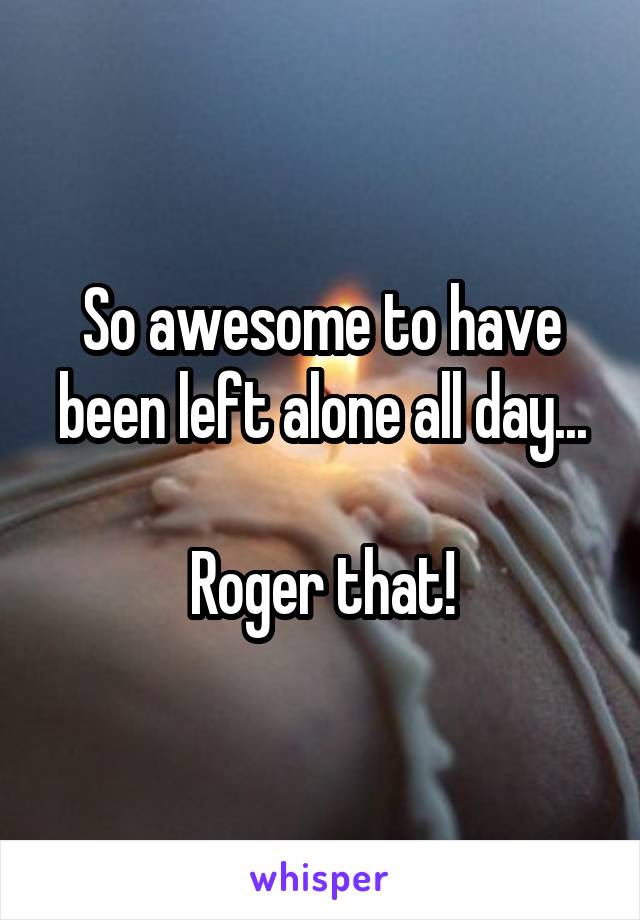 So awesome to have been left alone all day...

Roger that!