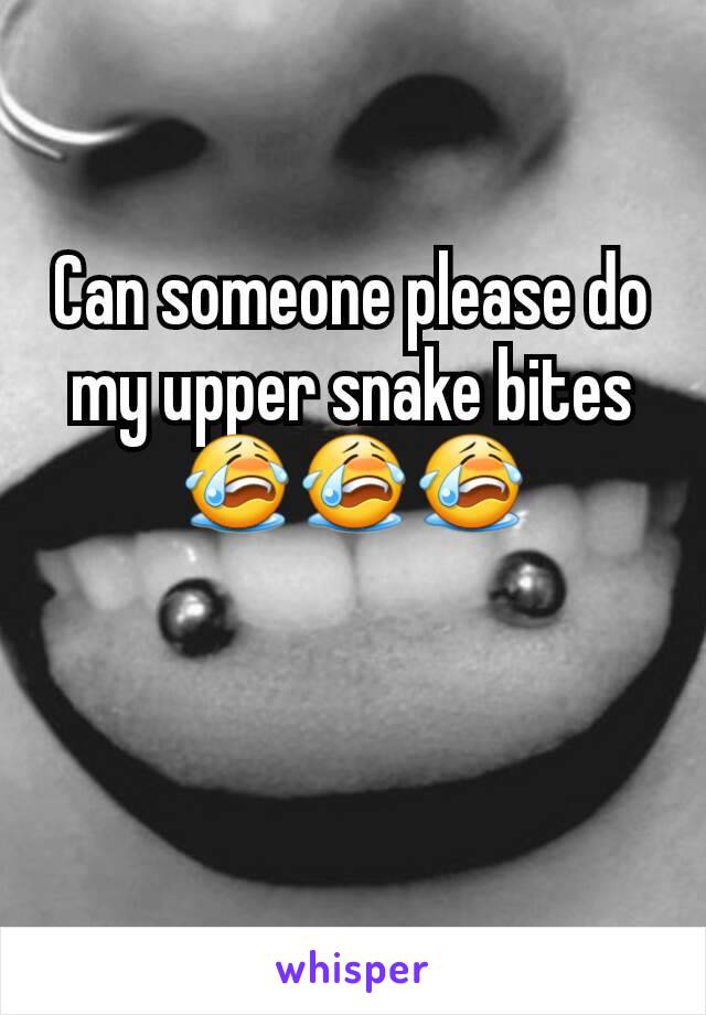 Can someone please do my upper snake bites 😭😭😭