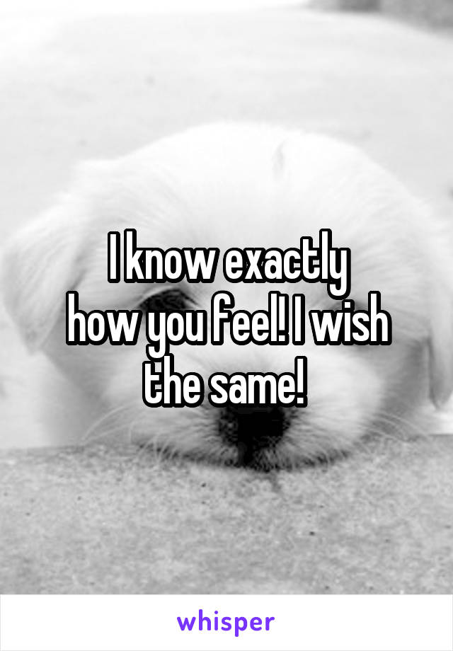 I know exactly
how you feel! I wish the same! 