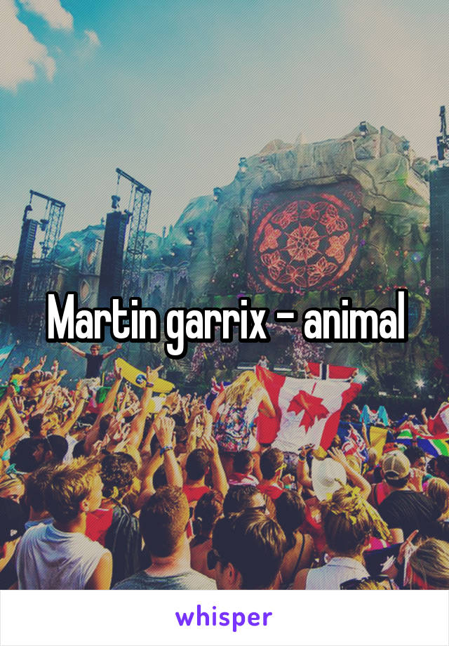 Martin garrix - animal