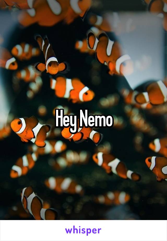 Hey Nemo