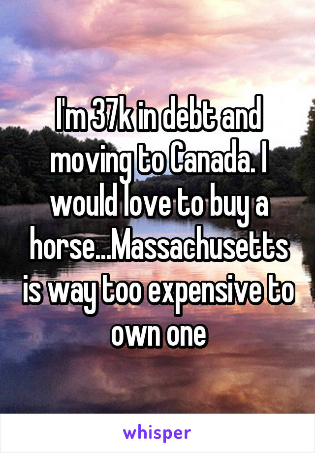 I'm 37k in debt and moving to Canada. I would love to buy a horse...Massachusetts is way too expensive to own one