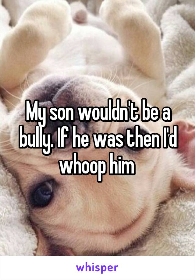 My son wouldn't be a bully. If he was then I'd whoop him 