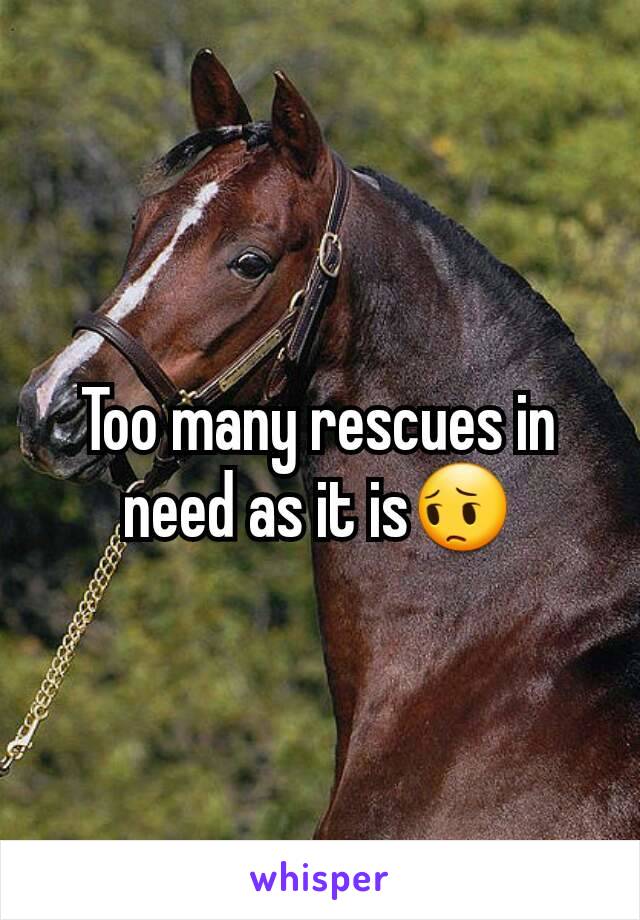 Too many rescues in need as it is😔