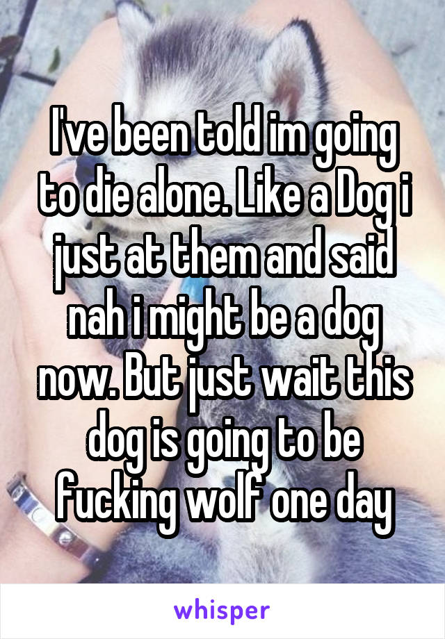 I've been told im going to die alone. Like a Dog i just at them and said nah i might be a dog now. But just wait this dog is going to be fucking wolf one day