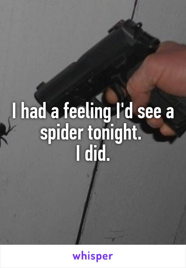 I had a feeling I'd see a spider tonight. 
I did.