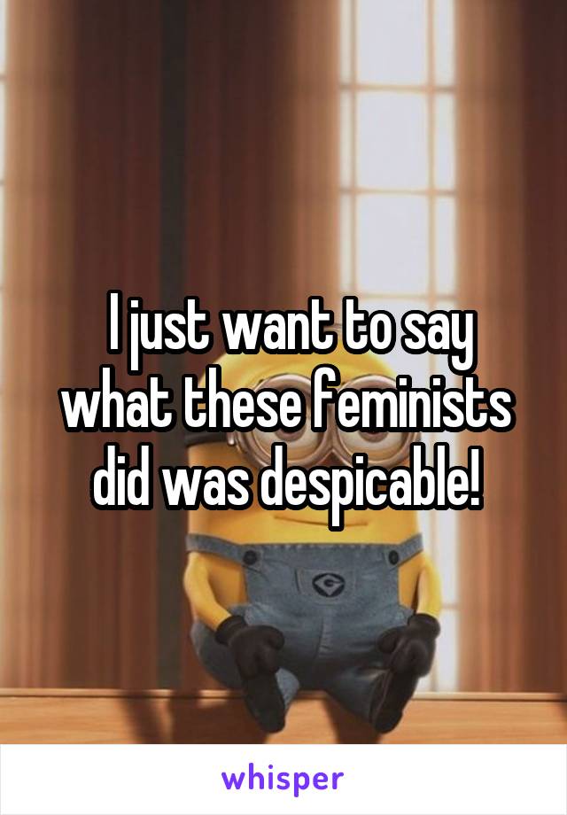  I just want to say what these feminists did was despicable!