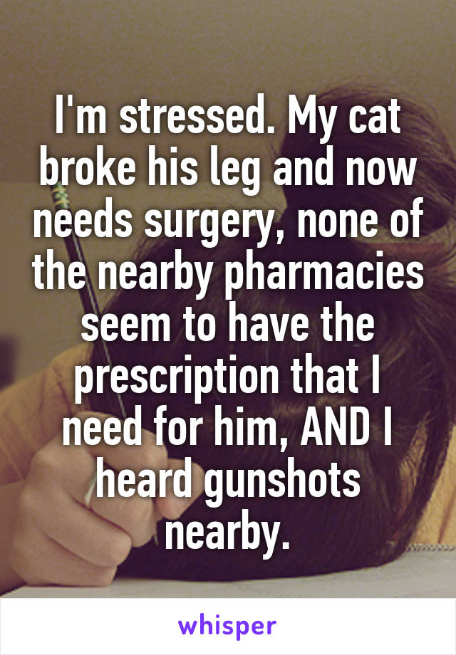 I'm stressed. My cat broke his leg and now needs surgery, none of the nearby pharmacies seem to have the prescription that I need for him, AND I heard gunshots nearby.