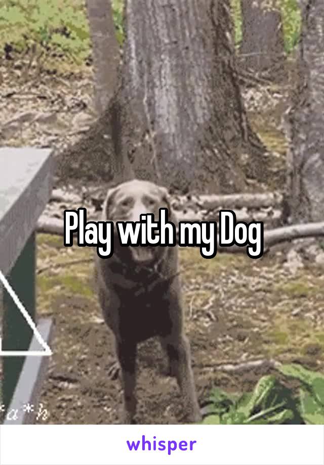 Play with my Dog