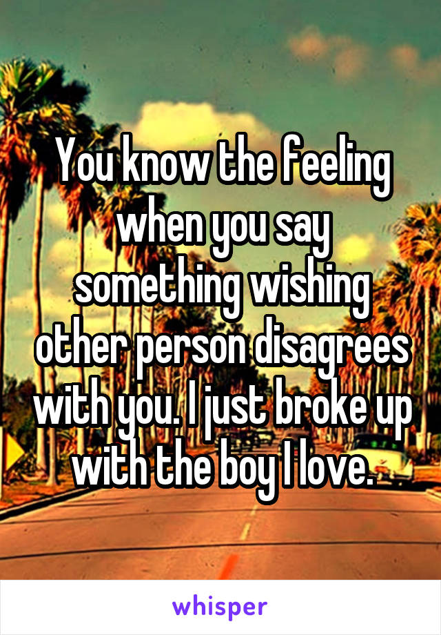 You know the feeling when you say something wishing other person disagrees with you. I just broke up with the boy I love.