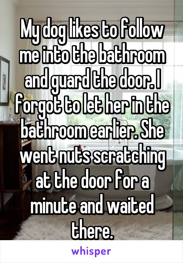 My dog likes to follow me into the bathroom and guard the door. I forgot to let her in the bathroom earlier. She went nuts scratching at the door for a minute and waited there.