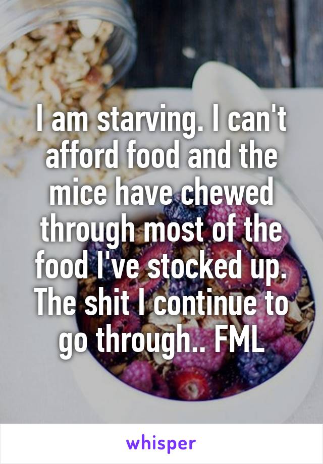 I am starving. I can't afford food and the mice have chewed through most of the food I've stocked up. The shit I continue to go through.. FML