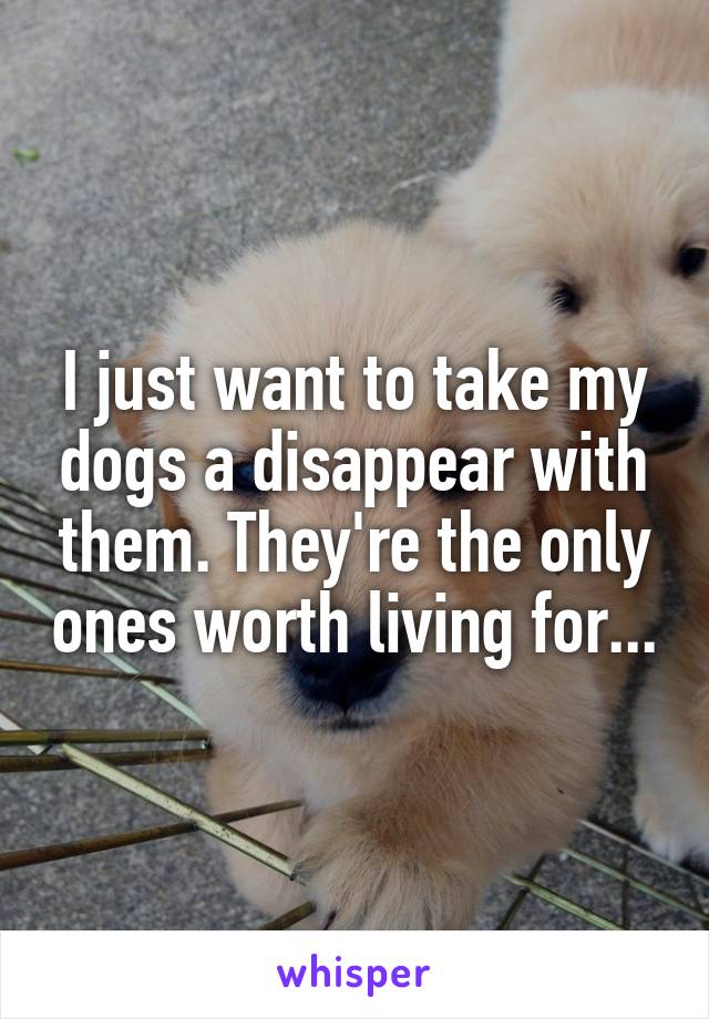 I just want to take my dogs a disappear with them. They're the only ones worth living for...