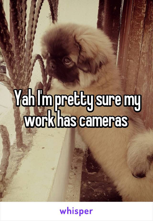 Yah I'm pretty sure my work has cameras 