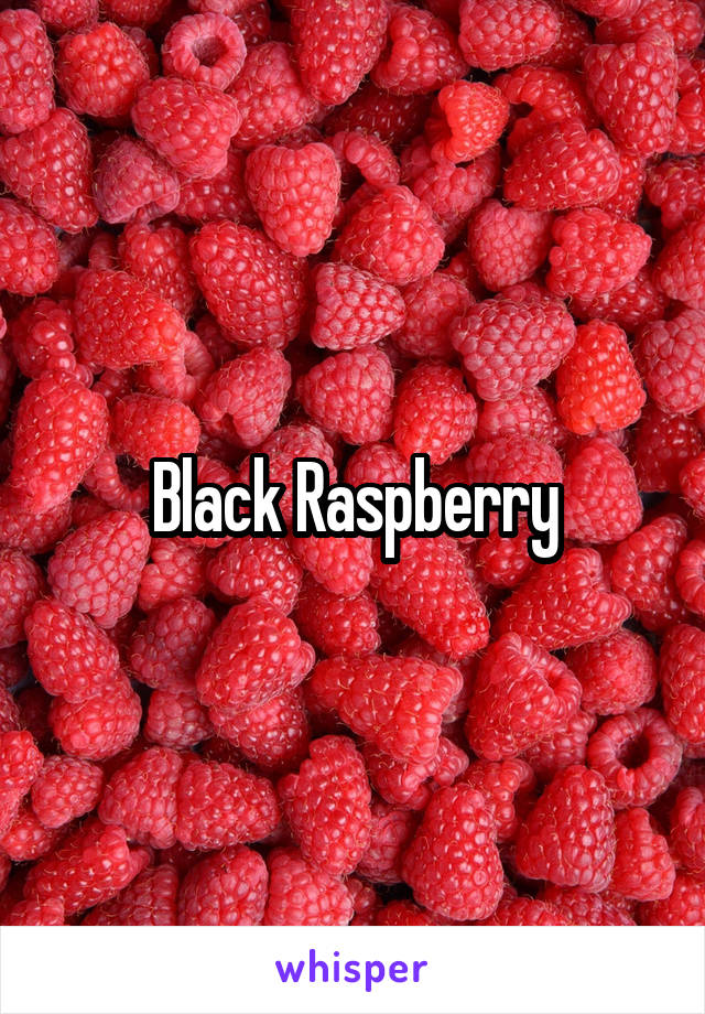 Black Raspberry