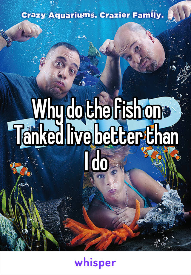 Why do the fish on Tanked live better than I do