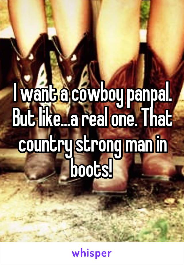 I want a cowboy panpal. But like...a real one. That country strong man in boots! 