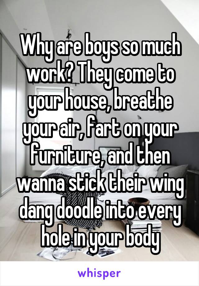 Why are boys so much work? They come to your house, breathe your air, fart on your furniture, and then wanna stick their wing dang doodle into every hole in your body