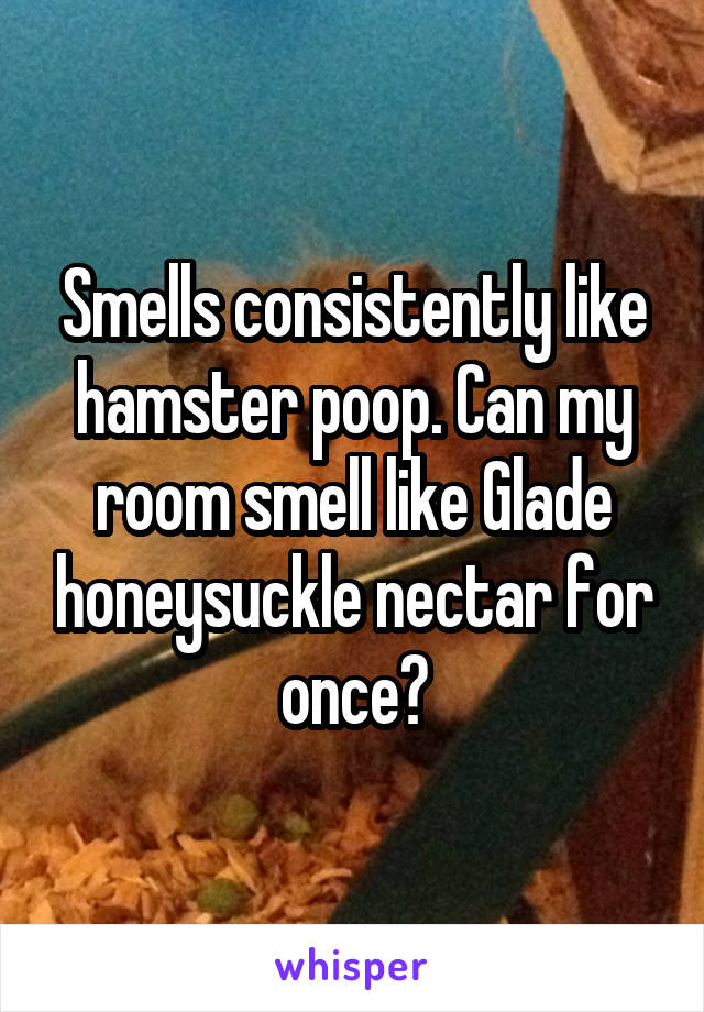 Smells consistently like hamster poop. Can my room smell like Glade honeysuckle nectar for once?