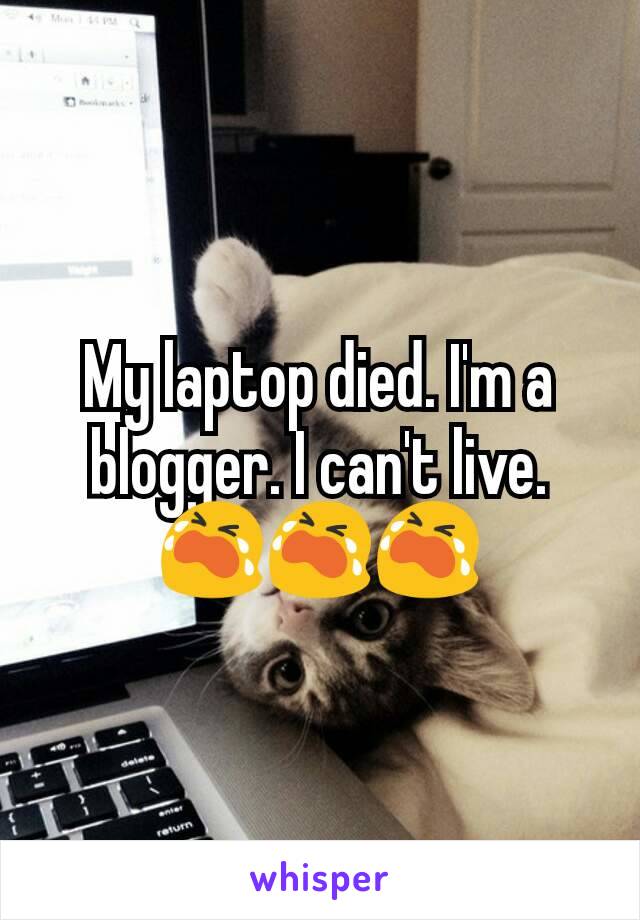 My laptop died. I'm a blogger. I can't live.😭😭😭