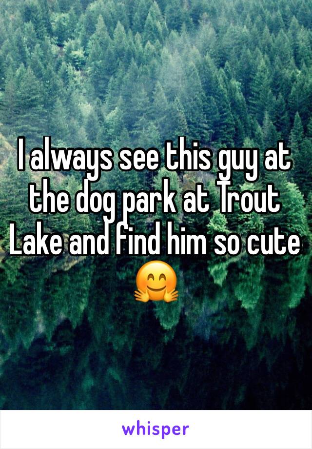 I always see this guy at the dog park at Trout Lake and find him so cute 🤗