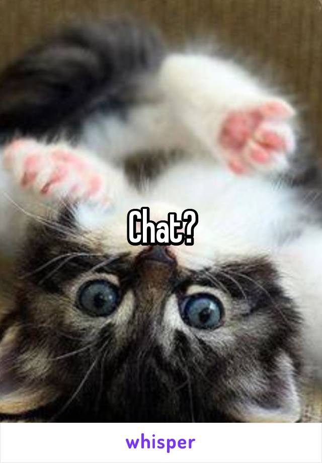 Chat?