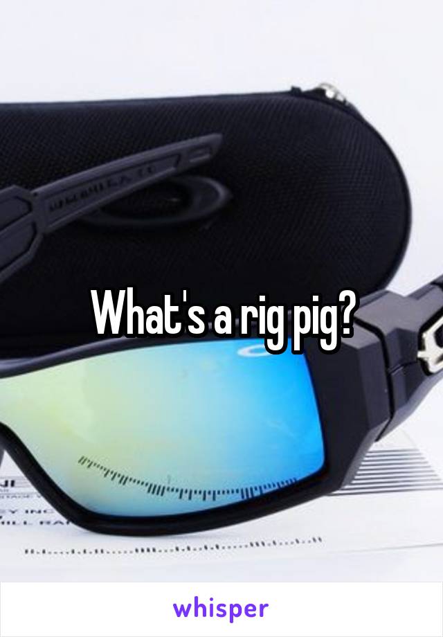 What's a rig pig?