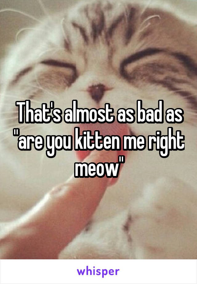 That's almost as bad as "are you kitten me right meow"