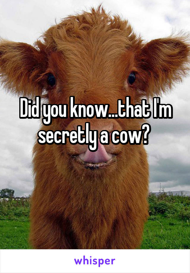 Did you know...that I'm secretly a cow? 
