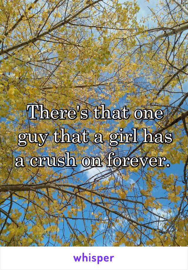 There's that one guy that a girl has a crush on forever. 