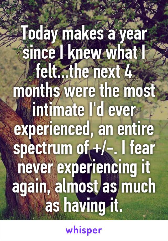 Today makes a year since I knew what I felt...the next 4 months were the most intimate I'd ever experienced, an entire spectrum of +/-. I fear never experiencing it again, almost as much as having it.