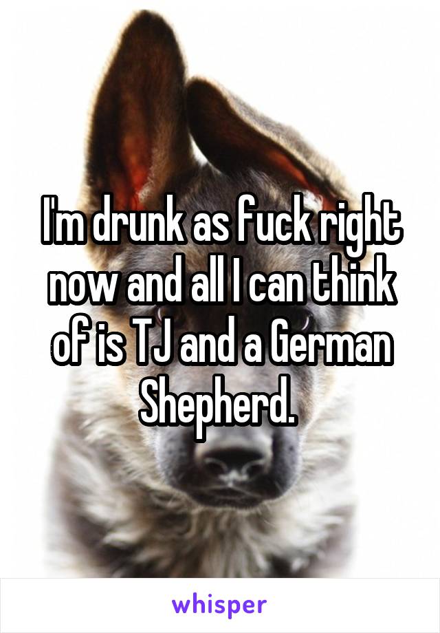 I'm drunk as fuck right now and all I can think of is TJ and a German Shepherd. 