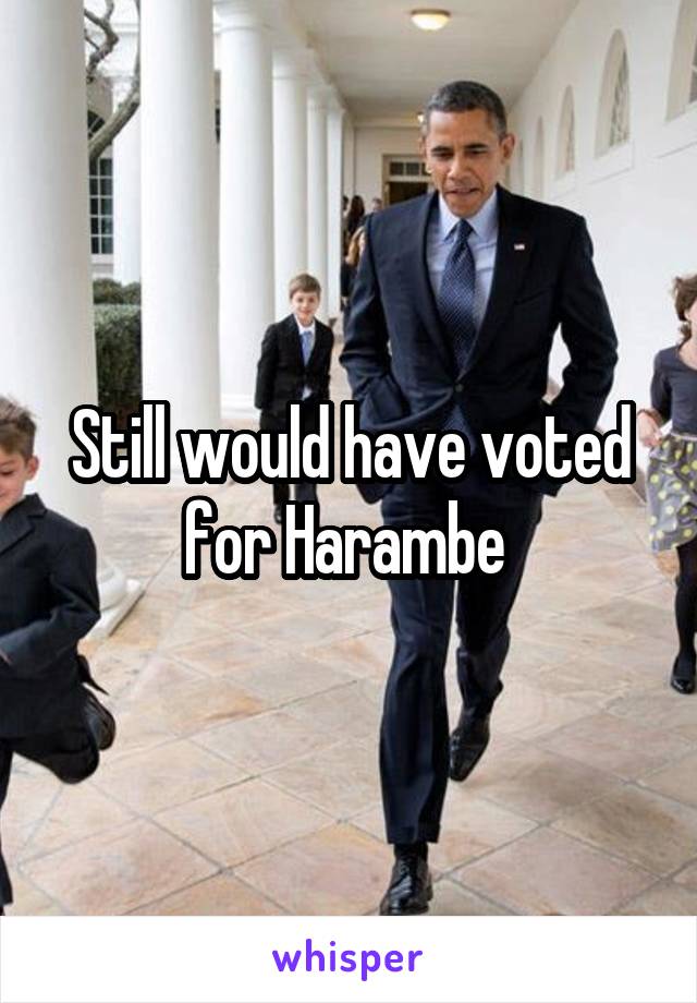 Still would have voted for Harambe 