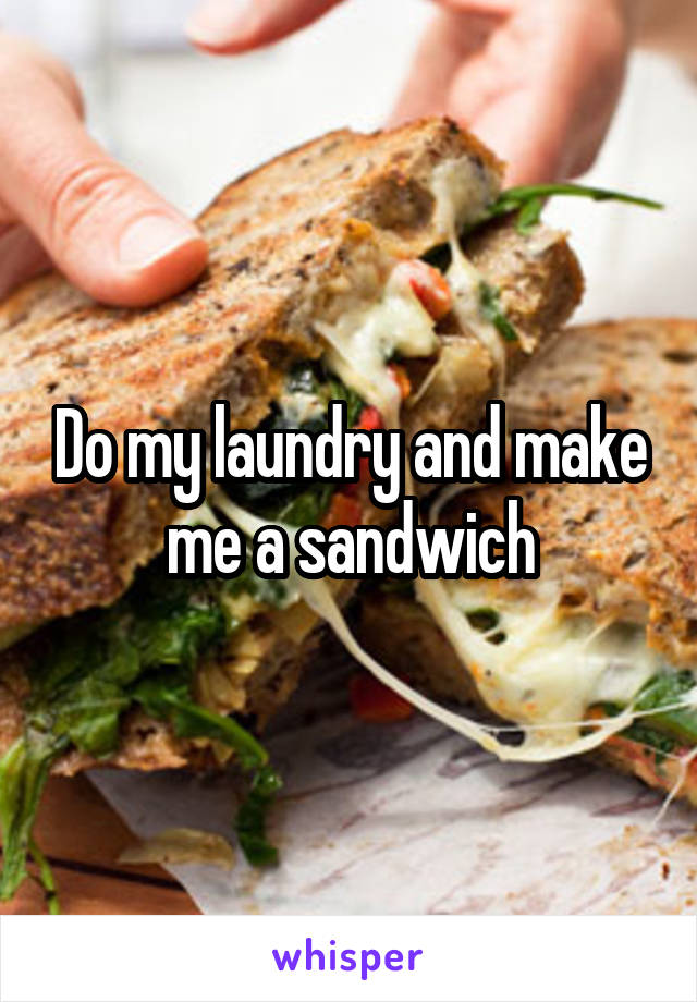 Do my laundry and make me a sandwich